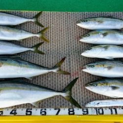 火遠理丸(ほおりまる) 釣果