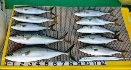 火遠理丸（ほおりまる） 釣果