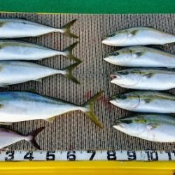 火遠理丸(ほおりまる) 釣果