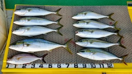 火遠理丸(ほおりまる) 釣果