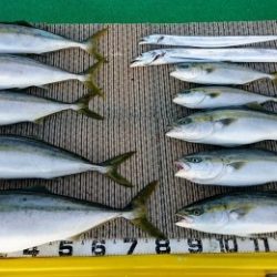 火遠理丸(ほおりまる) 釣果