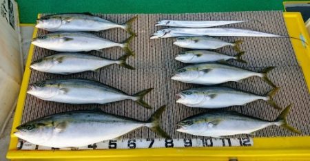 火遠理丸(ほおりまる) 釣果