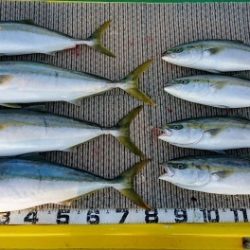 火遠理丸(ほおりまる) 釣果