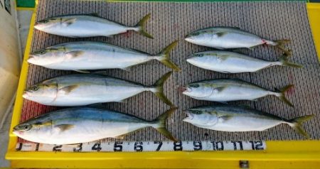 火遠理丸(ほおりまる) 釣果