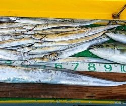 火遠理丸(ほおりまる) 釣果