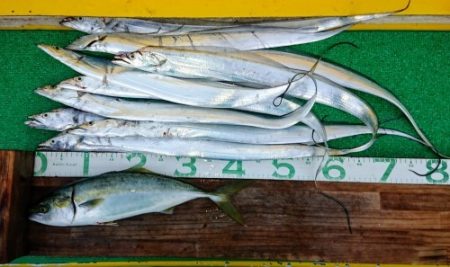 火遠理丸(ほおりまる) 釣果