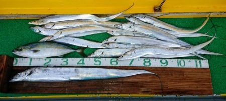 火遠理丸(ほおりまる) 釣果