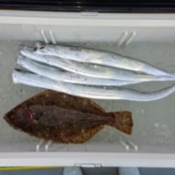 火遠理丸(ほおりまる) 釣果