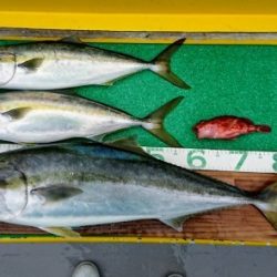 火遠理丸(ほおりまる) 釣果