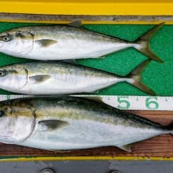 火遠理丸(ほおりまる) 釣果