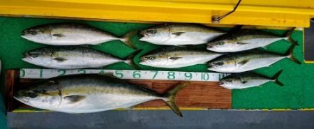 火遠理丸（ほおりまる） 釣果