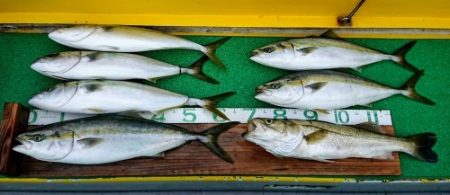 火遠理丸(ほおりまる) 釣果