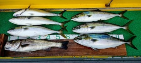 火遠理丸(ほおりまる) 釣果