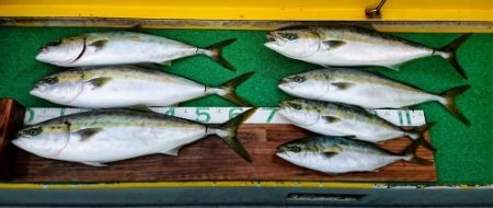 火遠理丸(ほおりまる) 釣果