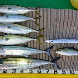 火遠理丸(ほおりまる) 釣果