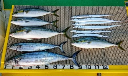 火遠理丸(ほおりまる) 釣果