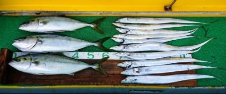 火遠理丸(ほおりまる) 釣果