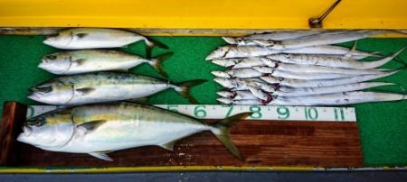 火遠理丸(ほおりまる) 釣果