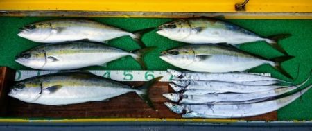 火遠理丸(ほおりまる) 釣果