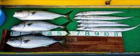 火遠理丸(ほおりまる) 釣果