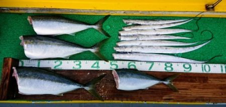 火遠理丸(ほおりまる) 釣果