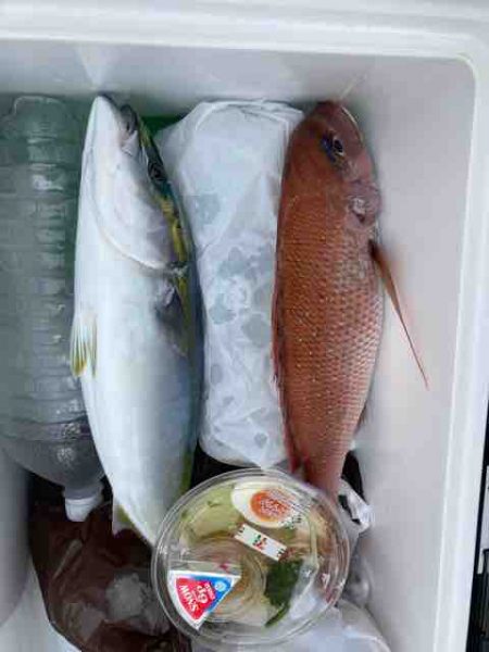 龍宮丸 釣果