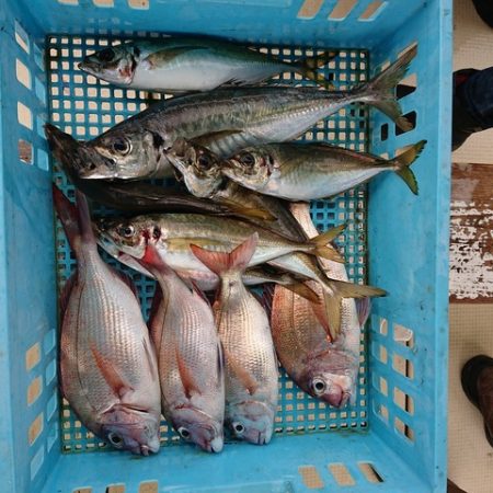 たかみ丸 釣果