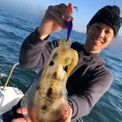 Magic（マジック） 釣果