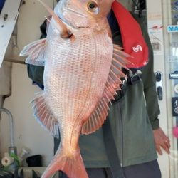 遊漁船 ニライカナイ 釣果