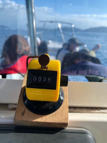 Magic（マジック） 釣果