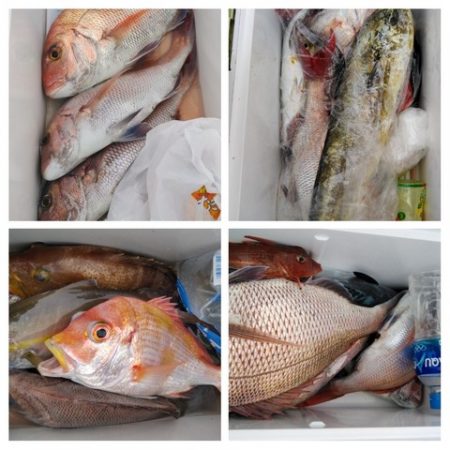 遊漁船 新鋭丸 釣果