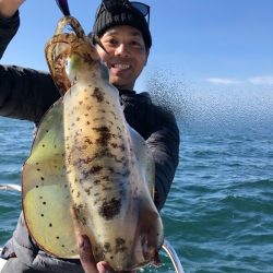 Magic（マジック） 釣果