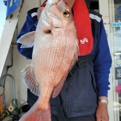 遊漁船 ニライカナイ 釣果