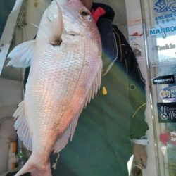 遊漁船 ニライカナイ 釣果