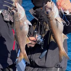 へいみつ丸 釣果