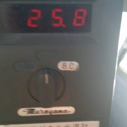 第五慶門丸 釣果