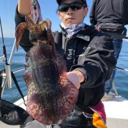 Magic(マジック) 釣果