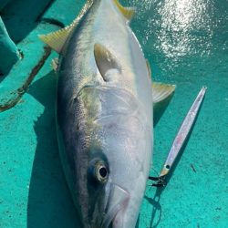 広進丸 釣果