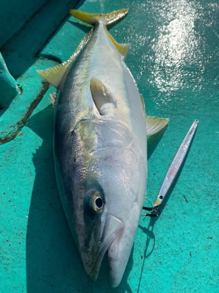 広進丸 釣果