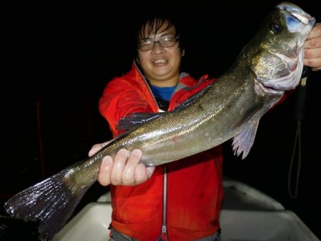 TOPGUN名古屋 釣果