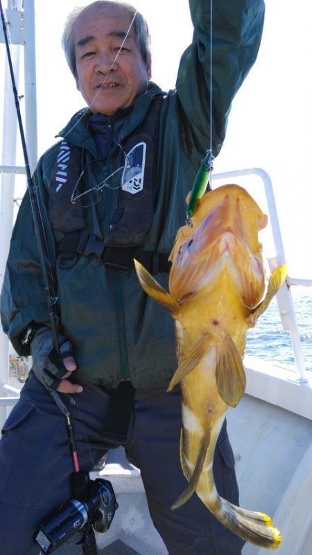 遊漁船 新鋭丸 釣果