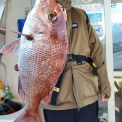 遊漁船 ニライカナイ 釣果