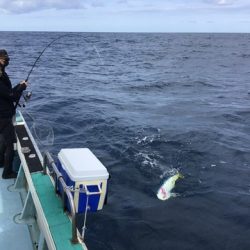 八海丸 釣果