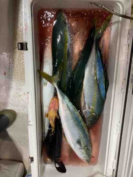 龍宮丸 釣果