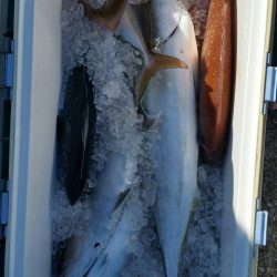 第五慶門丸 釣果