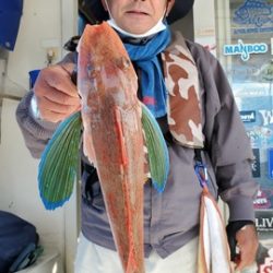 遊漁船 ニライカナイ 釣果