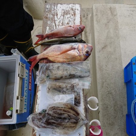 たかみ丸 釣果