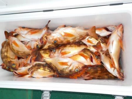 第二むつ漁丸 釣果