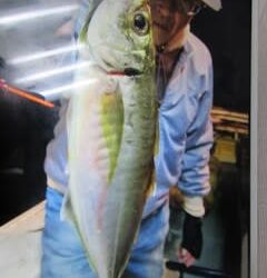 松福丸 釣果