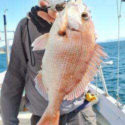 遊漁船 ニライカナイ 釣果